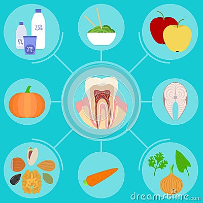 Food helpful for healthy teeth Vector Illustration