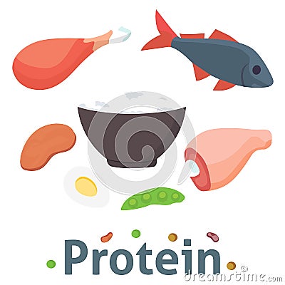 Food high in protein isolated healthy ingredient meat and raw group nutrition health superfood vector illustration Vector Illustration