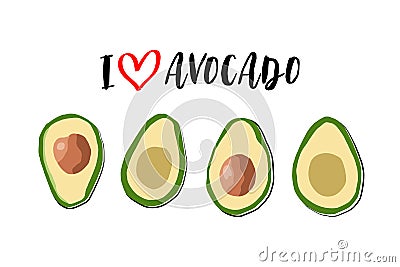 Four pieces of avocado fruit isolated on white background. Vector Illustration