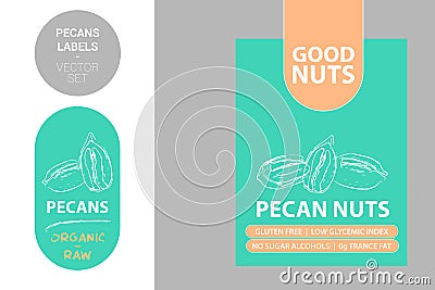 Pecan nuts labels with colorful elements. Cartoon drawn pecans product Badge Vector Illustration