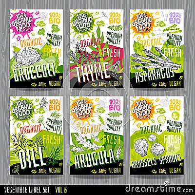 Food label set stickers collection vegetable labels spices package design. Broccoli, asparagus thyme dill arugula brussels sprouts Vector Illustration