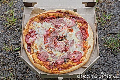 food and one round colored pizza carbonara in a gray paper carton box Stock Photo