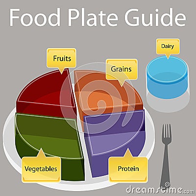 Food Plate Guide Vector Illustration