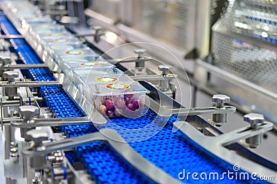Food products boxs transfer on Automated industrial Stock Photo