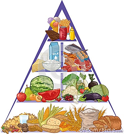 Food pyramid Vector Illustration