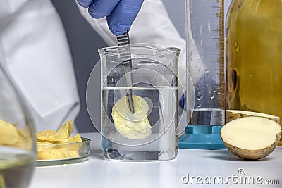 Food safety expert checking potato chips in the laboratory. Close up Stock Photo