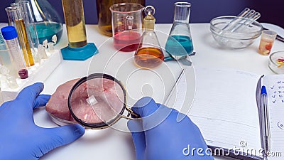 Food safety expert inspecting red meat in laboratory Stock Photo