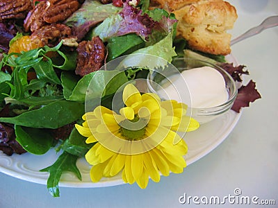 Food - Salad Stock Photo