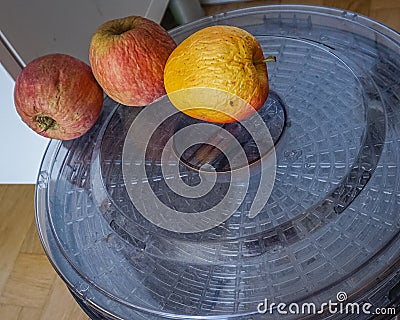 Food saver for dried apples Stock Photo