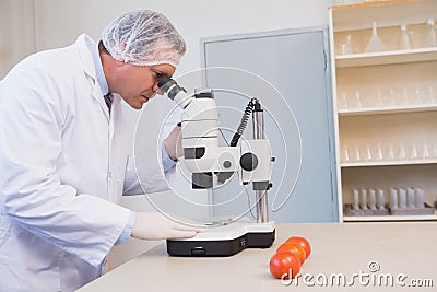 Food scientist looking through a microscope Stock Photo