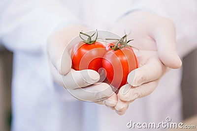 Food scientist showing tomatoes Stock Photo