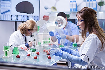 Food scientist working a research laboratory in white coat Stock Photo