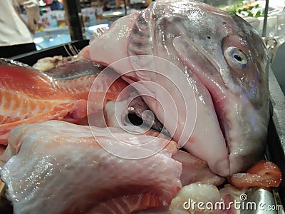 Fresh-looking sea fish with delicious details to cook Stock Photo