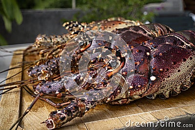 Fresh lobsters on kitchen table. Stock Photo