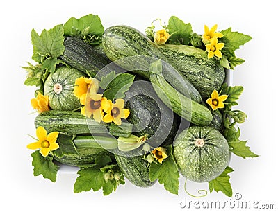 Food top view basket of zucchini with flowers and leafs isolated Stock Photo