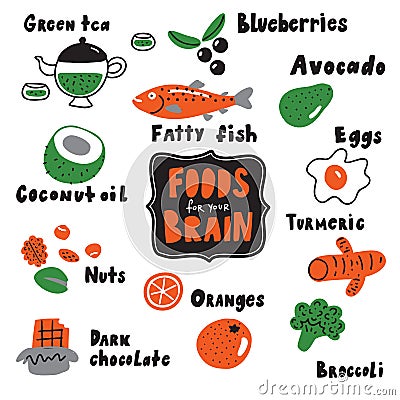 Food for your brain. Doodle illustration of different healthy food . Made in vector. Vector Illustration