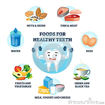 Foods for healthy teeth as nutrition diet and product influence to oral care Vector Illustration