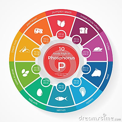 10 foods high in Phosphorus Vector Illustration