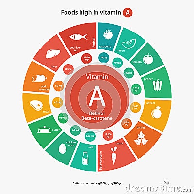 Foods high in vitamin A Vector Illustration