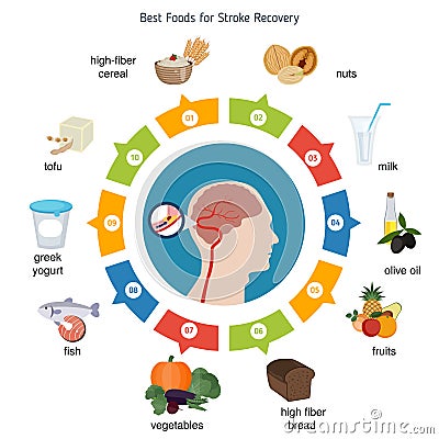 Best foods for stroke recovery Vector Illustration