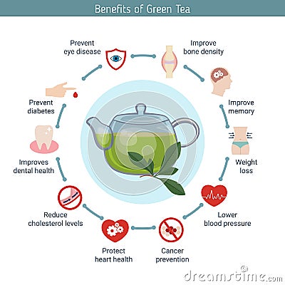 Foods infographics. Green tea. Vector Illustration