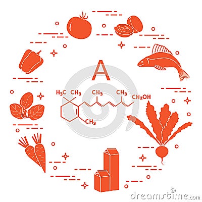 Foods rich in vitamin A. Tomato, apricot, fish, turnips, milk, dairy products, carrots, spinach, peppers Vector Illustration