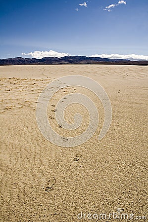 Foorprints in the desert Stock Photo