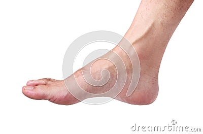 Foot Stock Photo