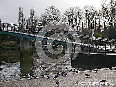 Bridge to Eel Pie Island over the thames in Twickenham Middlesex, Editorial Stock Photo