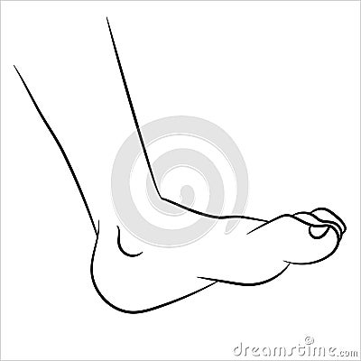 Foot Cartoon - Line Drawn Vector Vector Illustration