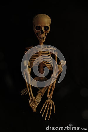 Skeleton poses, halloween, in the dark with a orangey glow Stock Photo