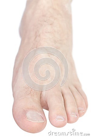 Foot front view. Stock Photo