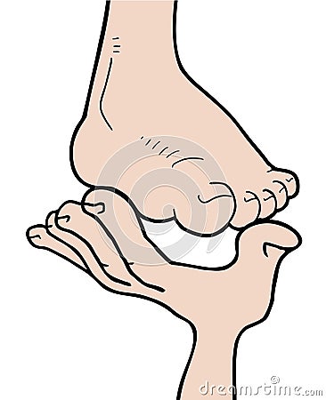 Foot and hand Vector Illustration
