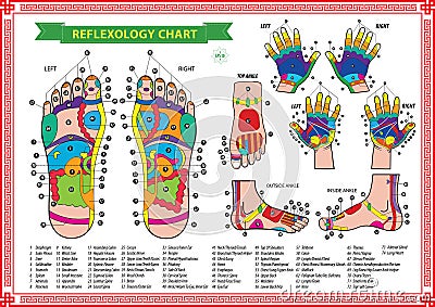 Foot and Hand reflexology chart Cartoon Illustration