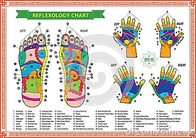 Foot and Hand reflexology chart Cartoon Illustration