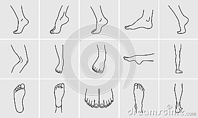 Foot icons Vector Illustration