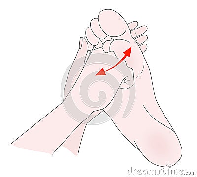 Foot massage. Bunion. Hallux valgus or bunion formation of the foot. Female hands massage the foot. Kneading and prevention of Vector Illustration