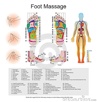 Foot massage. Stock Photo