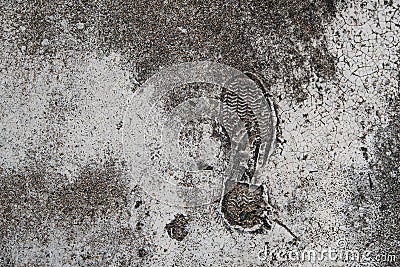 Foot print on grunge concrete texture Stock Photo