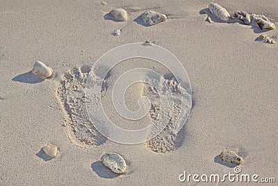 Foot prints Stock Photo