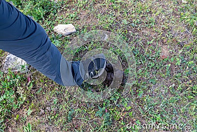 foot in shoe over animal excrement. Man stepping into pile of horse poop or shit or muck or dung. Poop happens Stock Photo