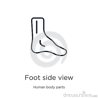 Foot side view icon. Thin linear foot side view outline icon isolated on white background from human body parts collection. Line Vector Illustration