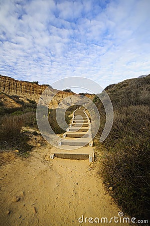 Foot steps at Torrey Pine Stat Park Stock Photo