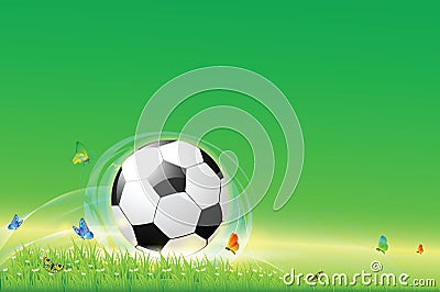 Footbal on the Lawn in sprin Stock Photo