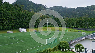 Football field green forest nature. Sport lawn playground in national woodland Stock Photo