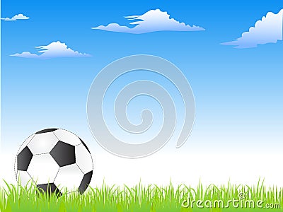 Football or soccer ball on the grass Stock Photo