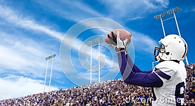 Football Touchdown Catch Stock Photo