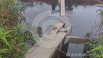 footbridge Stock Photo