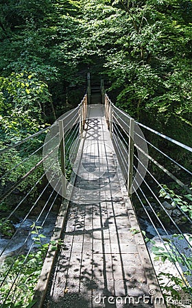 Footbridge leading to forest in beautiful tolmin gorges in triglav national park, slovenia Stock Photo