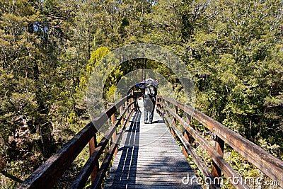 Footbridge over the Brown River at the start of the Heaphy Track Stock Photo